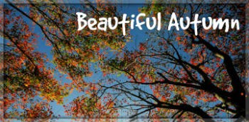 Прекрасная осень Живые обои / Beautiful Autumn