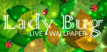 Colorful Ladybug Garden LWP