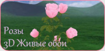 Розы 3D Живые Обои