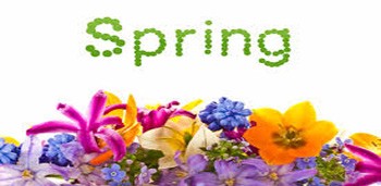Spring Flowers 3D Parallax