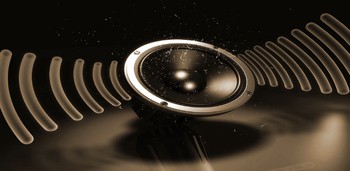 Subwoofer Speaker LWP