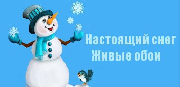 Настоящий снег Живые обои