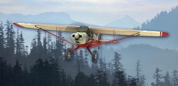 Airplane Fly Bush Pilot
